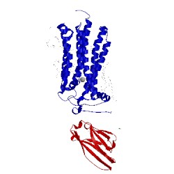 Image of CATH 5lwy