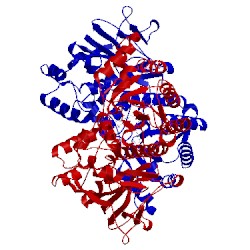 Image of CATH 5lx3