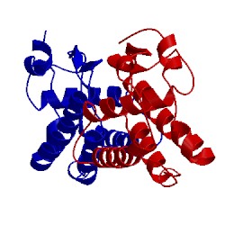 Image of CATH 5lxf