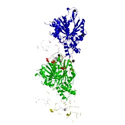 Image of CATH 5lxs