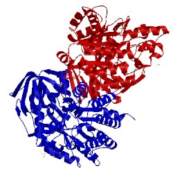 Image of CATH 5lxx