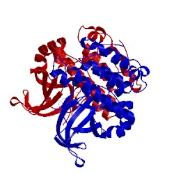 Image of CATH 5m06