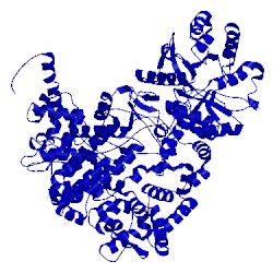 Image of CATH 5m1s