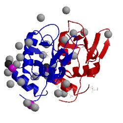 Image of CATH 5m1y