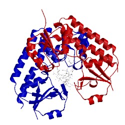 Image of CATH 5m2q