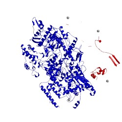 Image of CATH 5m3f