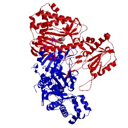 Image of CATH 5m4g