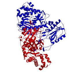 Image of CATH 5m4j