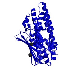 Image of CATH 5m4m