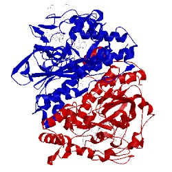 Image of CATH 5m8w