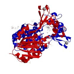 Image of CATH 5mat