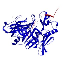 Image of CATH 5mcq