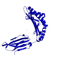 Image of CATH 5meq