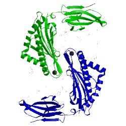 Image of CATH 5mer