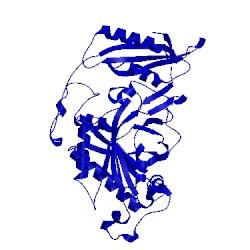 Image of CATH 5mgh