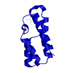 Image of CATH 5mgl