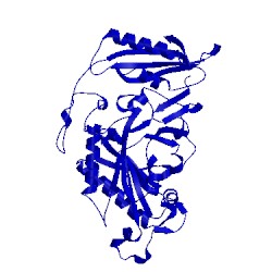 Image of CATH 5mgw