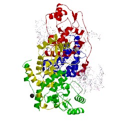 Image of CATH 5mhk