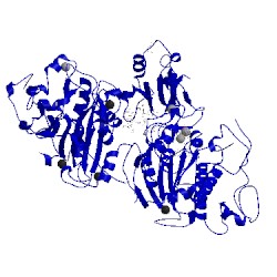 Image of CATH 5mhp