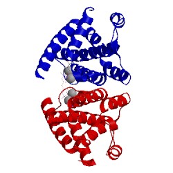 Image of CATH 5mil