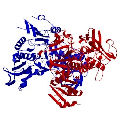 Image of CATH 5miv