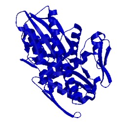 Image of CATH 5mks