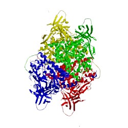 Image of CATH 5mkv