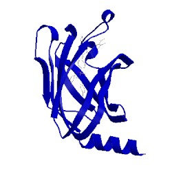 Image of CATH 5ml4