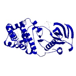 Image of CATH 5ml5