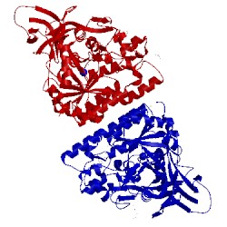 Image of CATH 5mle
