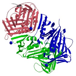 Image of CATH 5mlo