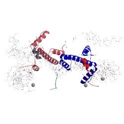 Image of CATH 5mlu