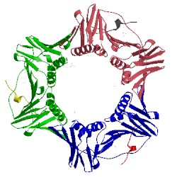 Image of CATH 5mlw