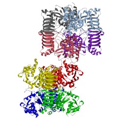 Image of CATH 5mni