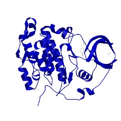 Image of CATH 5mot