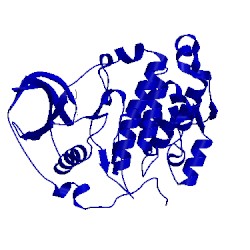 Image of CATH 5mov