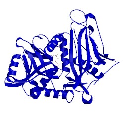 Image of CATH 5mpr