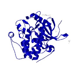 Image of CATH 5mrd