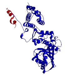 Image of CATH 5ms2