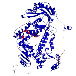 Image of CATH 5msg