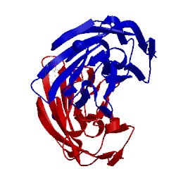Image of CATH 5mts
