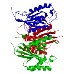 Image of CATH 5muf