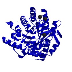 Image of CATH 5mut