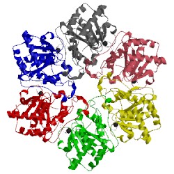 Image of CATH 5muv