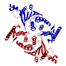 Image of CATH 5mvs