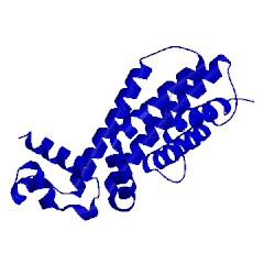 Image of CATH 5mys