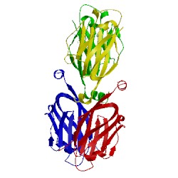 Image of CATH 5n2d