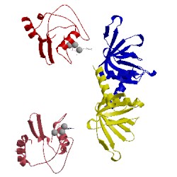 Image of CATH 5n2v