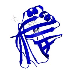 Image of CATH 5n4m