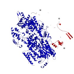 Image of CATH 5n60